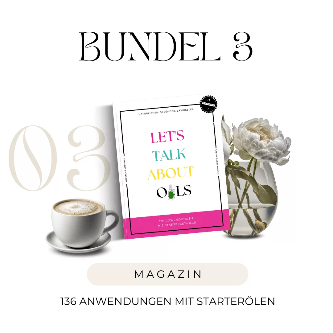 Bundel 3